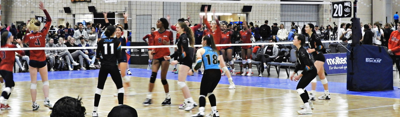 NEQ 17's & 18's 2024